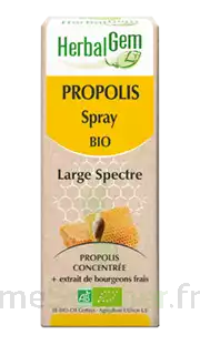 Herbalgem Propolis Large Spectre Solution Buvable Bio Spray/15ml à Bordeaux